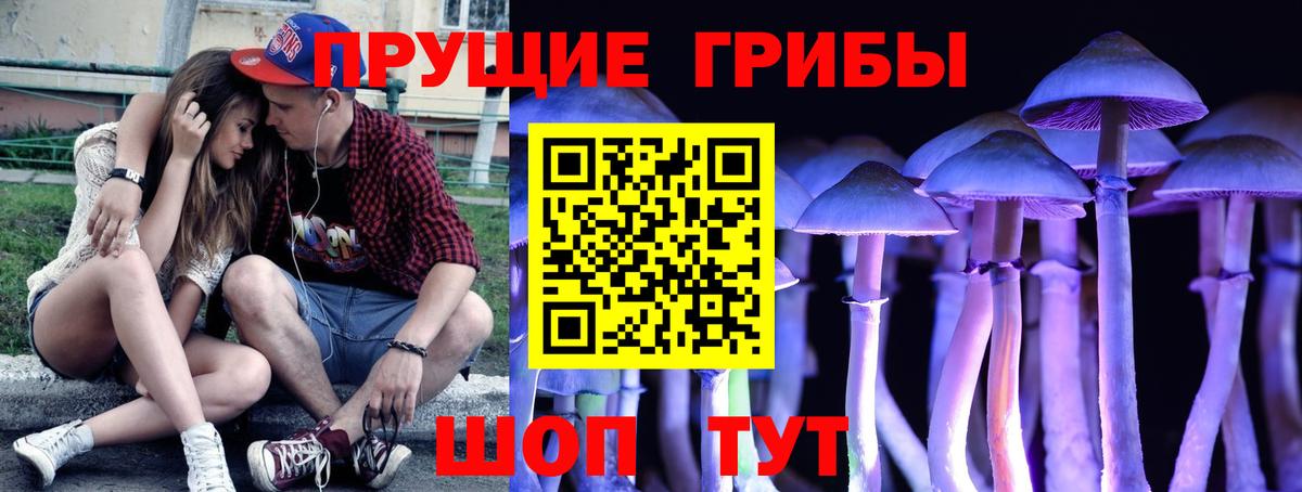 Ленинск-Кузнецкий  Псилоцибиновые грибы Cubensis  Вход с VPN 
