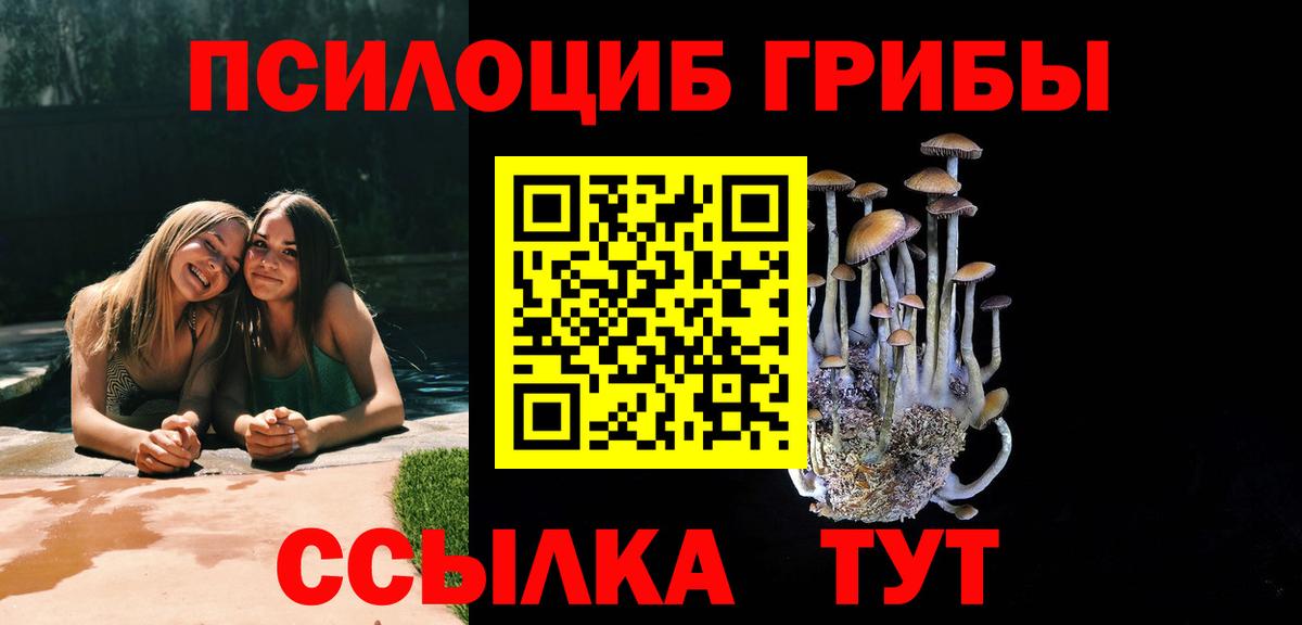 Псилоцибиновые грибы ЛСД Ленинск-Кузнецкий